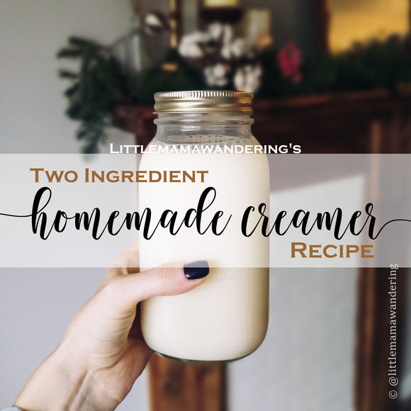 Two Ingredient Homemade Creamer